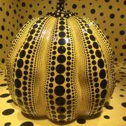 Blackyの画像