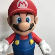 ヒイラギの画像