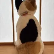 ホットケーキの画像