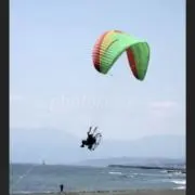 makiの画像