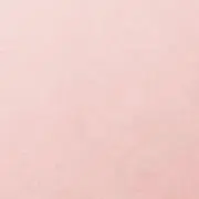 R.の画像