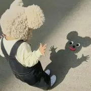 ぷくまるの画像