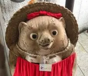 ポンコの画像