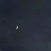 suzuの画像