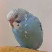 なーの画像