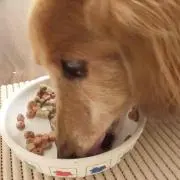 ミント