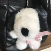 miniの画像