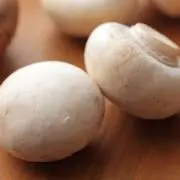 mushroomの画像