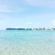 ある‪‪☆週末発送メイン☆の画像