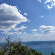 ナカの画像