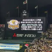 TORA※自己紹介文は必ずご確認下さい。の画像