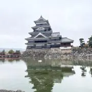 Meerの画像