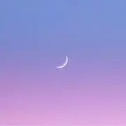 ちゃむの画像