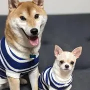 りゅうママ