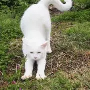 くるくるりんの画像