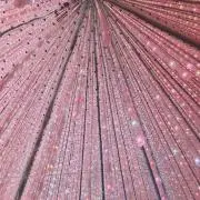 ちぃたそ　即購入歓迎(◍ ´꒳` ◍)