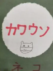 コツメの画像