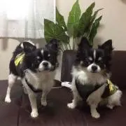 Ｍｉｗa