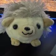 タマ阿部の画像