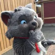 べるりおーず。の画像