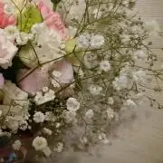 sの画像