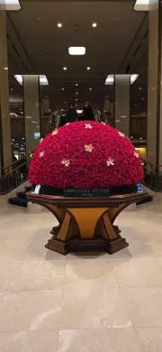 高井の画像