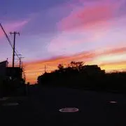 Miy@プロフ必読☑の画像