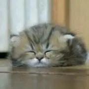 よっちゃん☆