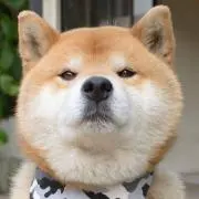 ひろ