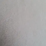 ぽっちゃまの画像