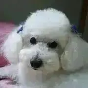 Yuukorin♡の画像