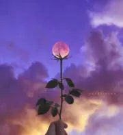 七味の画像