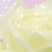 まいぷぅの画像