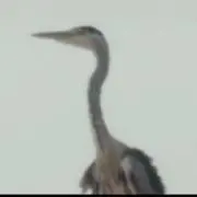 やんたに産業