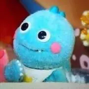 pp翌日発送