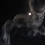 蝙蝠
