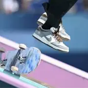 たんぽぽの画像