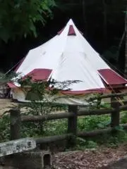 msjkの画像