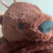 その画像
