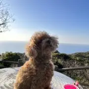 ❤︎オオハシ君❤︎の画像