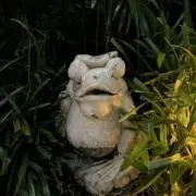 九十九@の画像