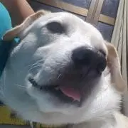 たまちゃん