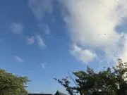 ゆうの画像