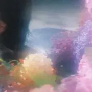 Sera【24時間以内発送】の画像