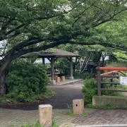 あさまの画像