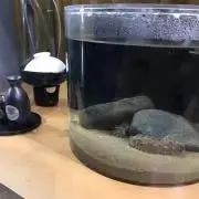 どらいけんくんの画像