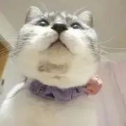 ひめち♥