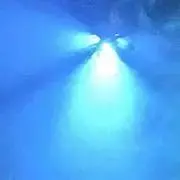 さらの画像