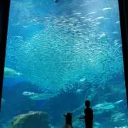 骨バランス　★プロフ必ずチェック★の画像