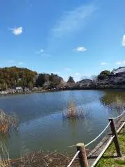 にこまるの画像